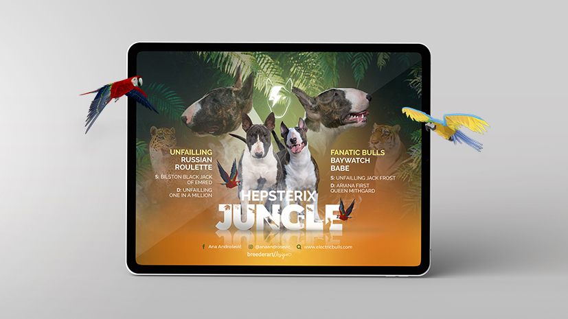 Captive Bright Utensil